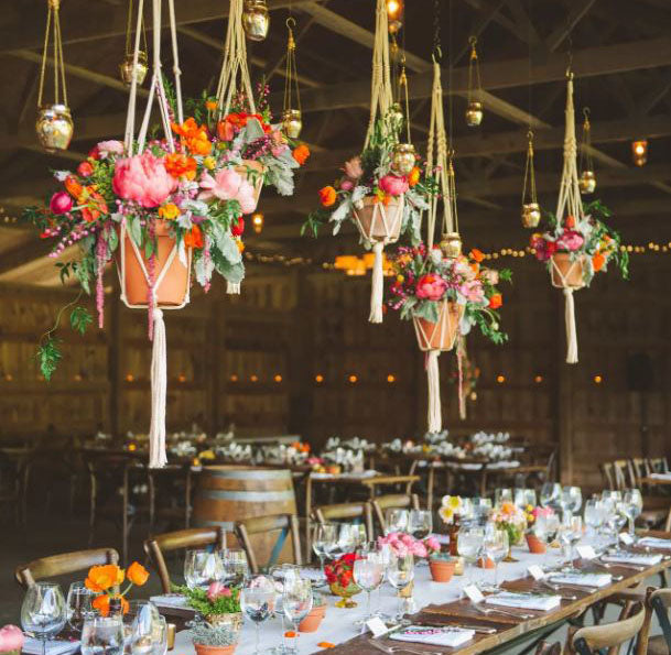 Pots de fleurs suspendus au plafond