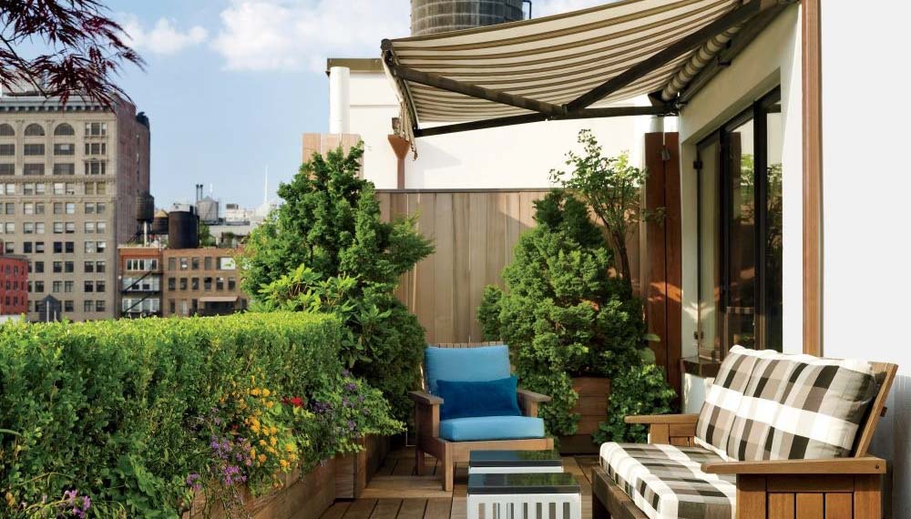 Auvent Terrasse Prolongement