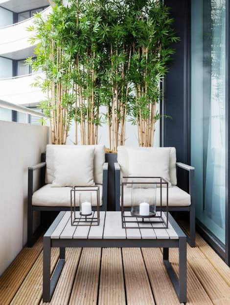 Terrasse Brise Vue Végétation Grimpantes