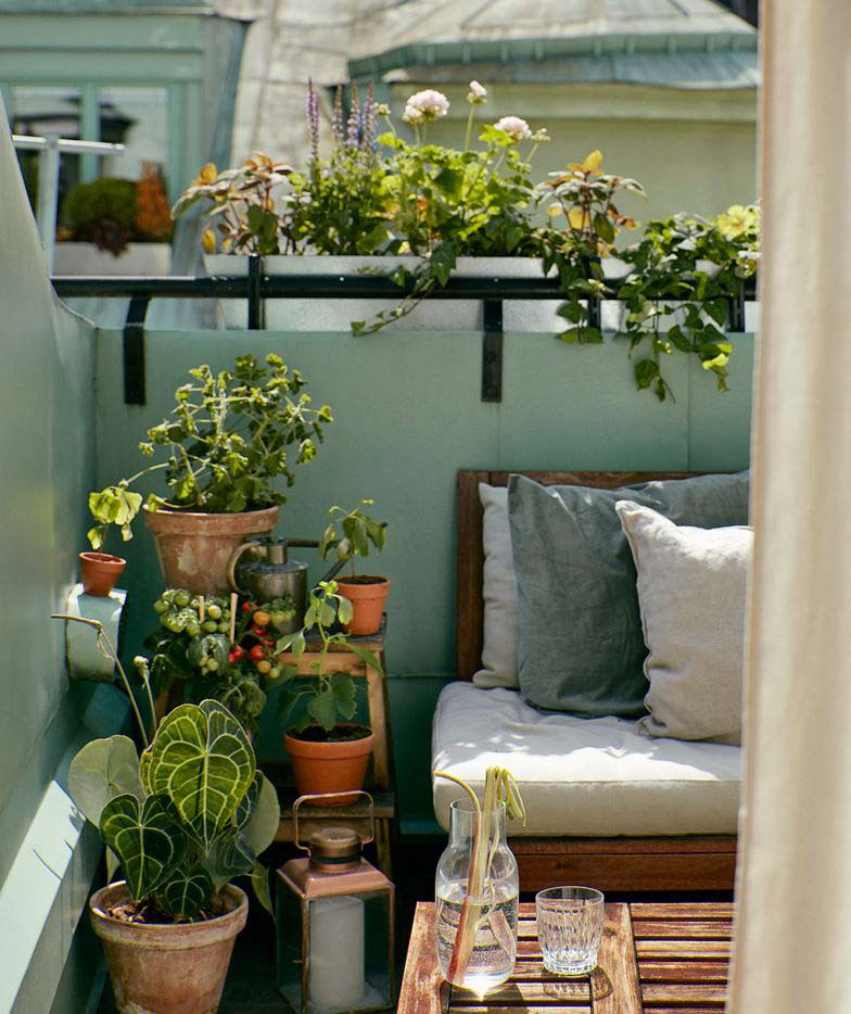 balcon avec petit jardin et Plantes Vertes