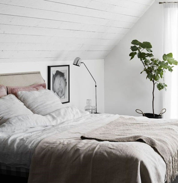 Chambre adulte avec déco de couleur monochrome