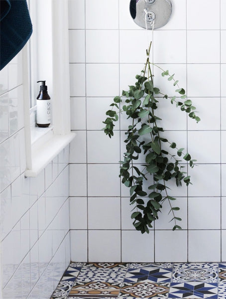 Idée décoration douche avec feuilles d'eucalyptus