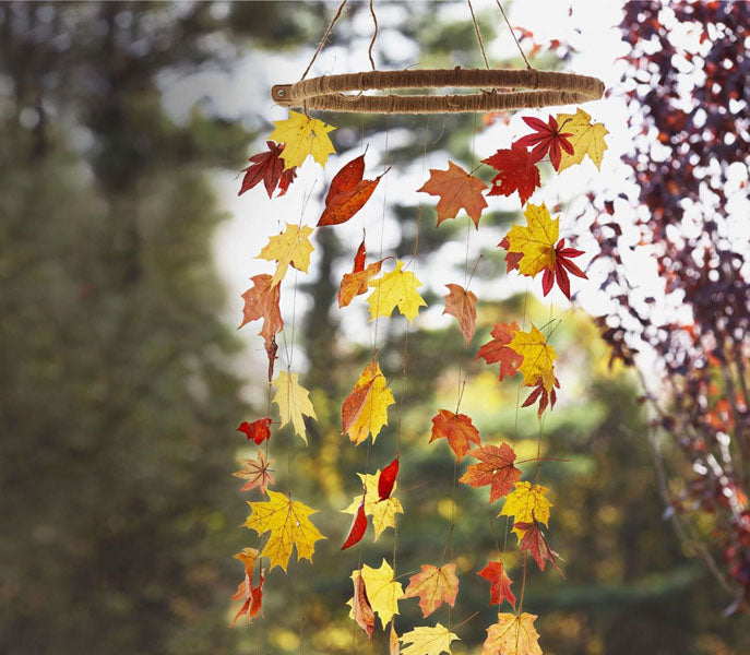 Lianes de feuilles
