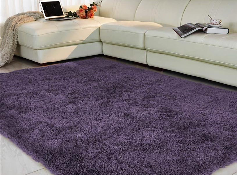 Tapis de style moderne dans un salon